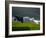 Rainbow, Stormy Sky and Clothes Line, Bunmahon, County Waterford, Ireland-null-Framed Photographic Print