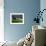 Rainbow, Stormy Sky and Clothes Line, Bunmahon, County Waterford, Ireland-null-Framed Photographic Print displayed on a wall