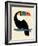 Rainbow Toucan-Andy Westface-Framed Giclee Print