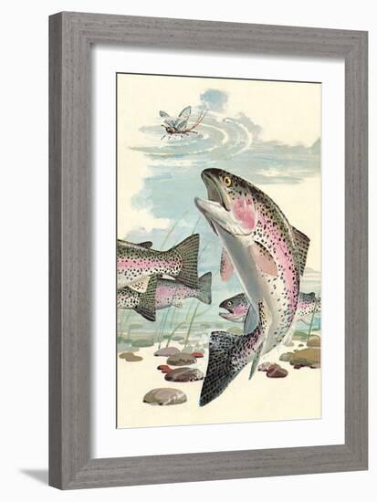 Rainbow Trout Eying Dragonfly-null-Framed Art Print