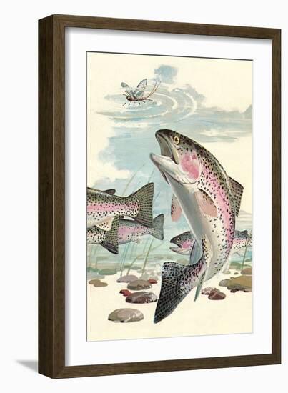 Rainbow Trout Eying Dragonfly-null-Framed Art Print