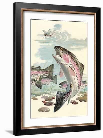 Rainbow Trout Eying Dragonfly-null-Framed Art Print