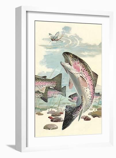 Rainbow Trout Eying Dragonfly-null-Framed Art Print