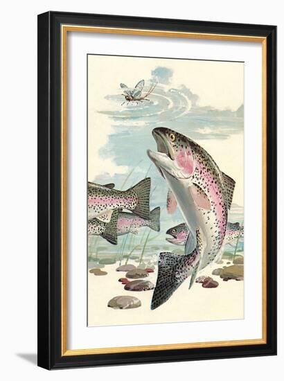 Rainbow Trout Eying Dragonfly-null-Framed Art Print