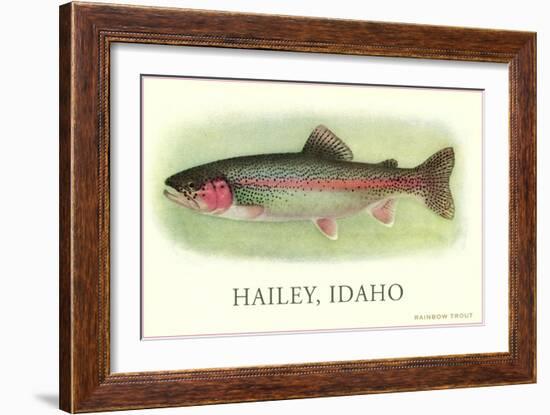 Rainbow Trout, Hailey-null-Framed Art Print