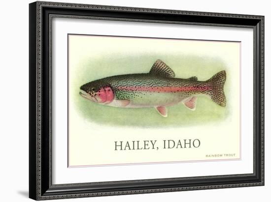 Rainbow Trout, Hailey-null-Framed Art Print