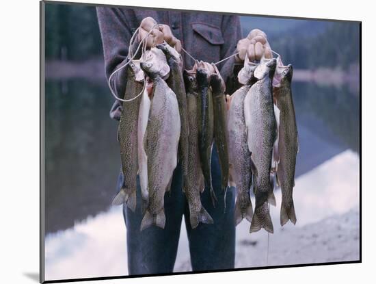 Rainbow Trout-null-Mounted Photographic Print