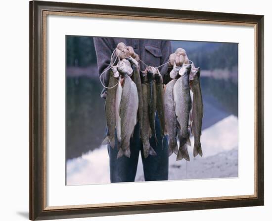 Rainbow Trout-null-Framed Photographic Print