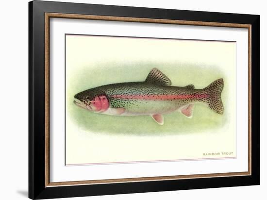 Rainbow Trout-null-Framed Premium Giclee Print