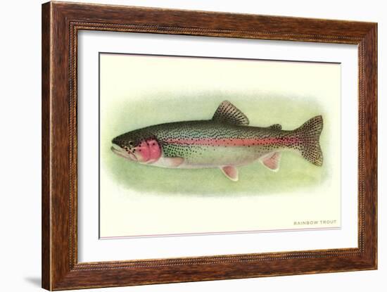 Rainbow Trout-null-Framed Art Print