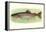 Rainbow Trout-null-Framed Stretched Canvas