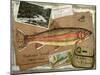 Rainbow Trout-Kate Ward Thacker-Mounted Giclee Print