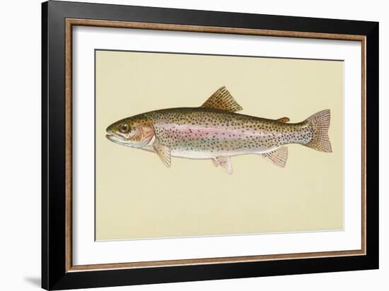 Rainbow Trout-null-Framed Giclee Print