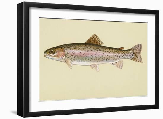 Rainbow Trout--Framed Giclee Print