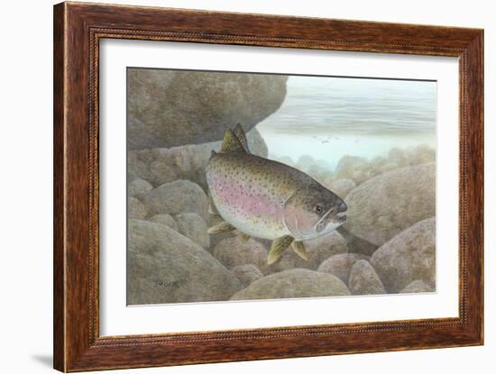 Rainbow Trout-null-Framed Giclee Print