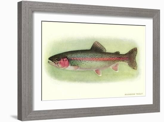 Rainbow Trout-null-Framed Art Print
