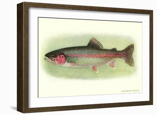 Rainbow Trout-null-Framed Art Print