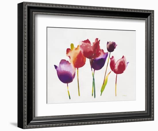 Rainbow Tulips 1-Paulo Romero-Framed Art Print