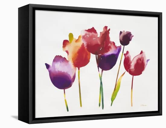 Rainbow Tulips 1-Paulo Romero-Framed Stretched Canvas