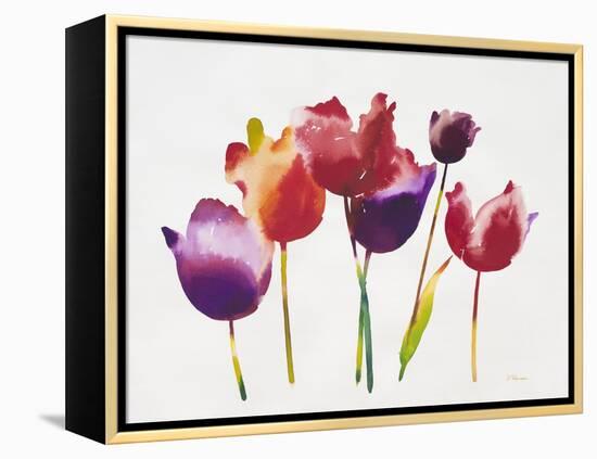 Rainbow Tulips 1-Paulo Romero-Framed Stretched Canvas