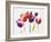 Rainbow Tulips 1-Paulo Romero-Framed Art Print