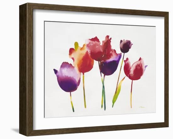Rainbow Tulips 1-Paulo Romero-Framed Art Print