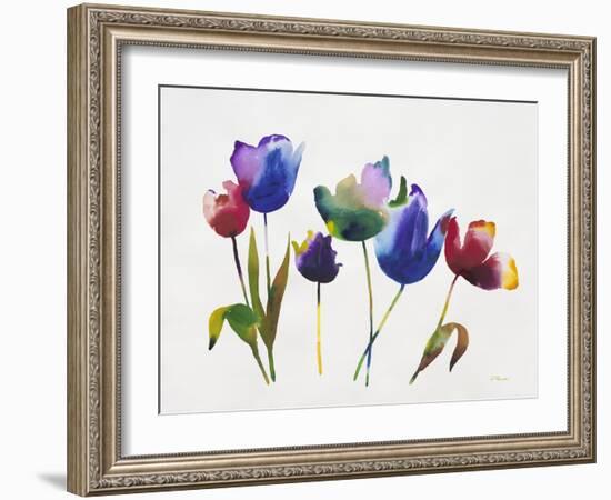 Rainbow Tulips 2-Paulo Romero-Framed Art Print