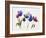 Rainbow Tulips 2-Paulo Romero-Framed Art Print