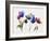 Rainbow Tulips 2-Paulo Romero-Framed Art Print