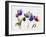 Rainbow Tulips 2-Paulo Romero-Framed Art Print