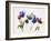 Rainbow Tulips 2-Paulo Romero-Framed Art Print