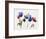 Rainbow Tulips 2-Paulo Romero-Framed Premium Giclee Print