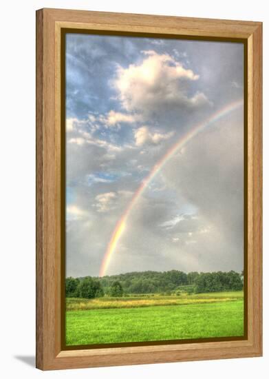 Rainbow Vertical-Robert Goldwitz-Framed Premier Image Canvas