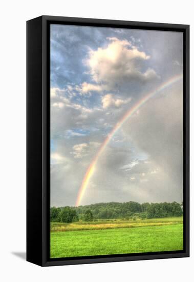 Rainbow Vertical-Robert Goldwitz-Framed Premier Image Canvas