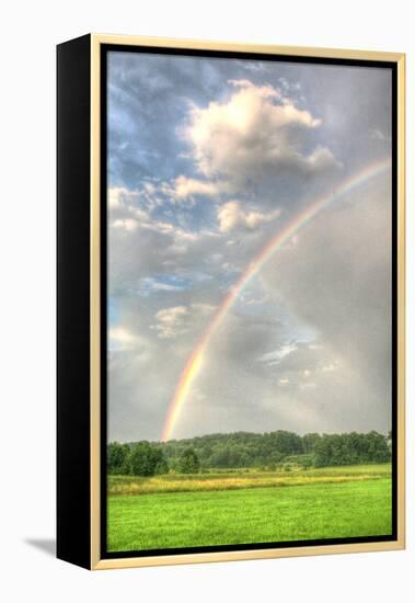 Rainbow Vertical-Robert Goldwitz-Framed Premier Image Canvas
