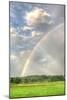 Rainbow Vertical-Robert Goldwitz-Mounted Photographic Print