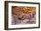 Rainbow Vista, Valley of Fire State Park, Overton, Nevada, USA-Michel Hersen-Framed Photographic Print