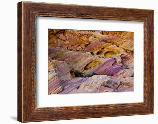 Rainbow Vista, Valley of Fire State Park, Overton, Nevada, USA-Michel Hersen-Framed Photographic Print