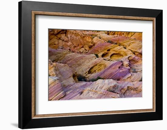 Rainbow Vista, Valley of Fire State Park, Overton, Nevada, USA-Michel Hersen-Framed Photographic Print