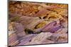 Rainbow Vista, Valley of Fire State Park, Overton, Nevada, USA-Michel Hersen-Mounted Photographic Print