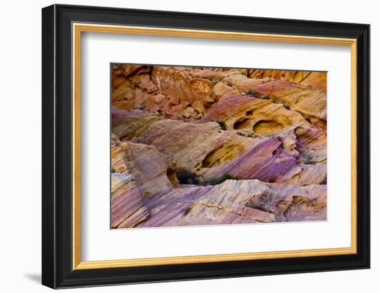 Rainbow Vista, Valley of Fire State Park, Overton, Nevada, USA-Michel Hersen-Framed Photographic Print