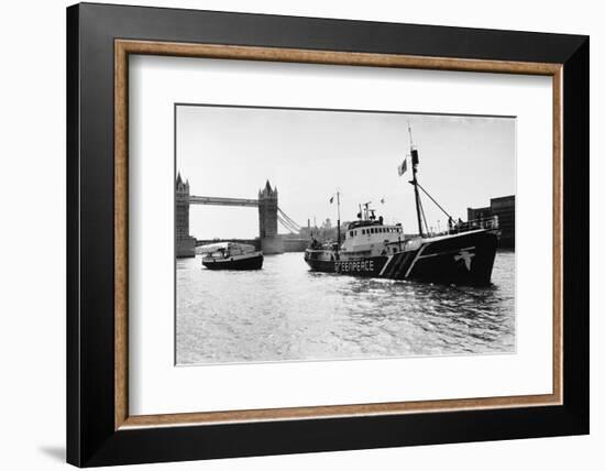 Rainbow Warrior in London-null-Framed Photographic Print