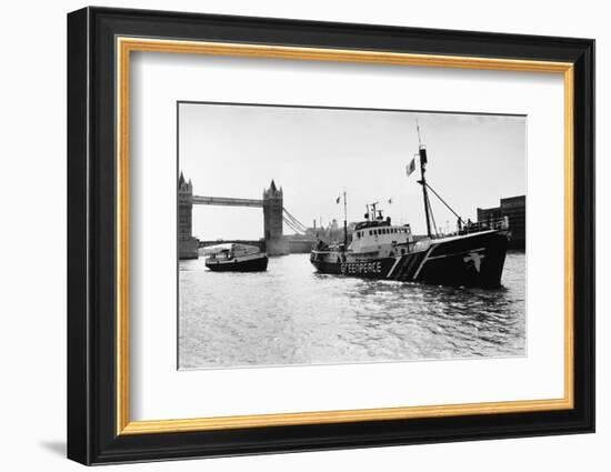 Rainbow Warrior in London-null-Framed Photographic Print