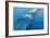 Rainbow Wave I-Lee Peterson-Framed Photo