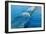 Rainbow Wave I-Lee Peterson-Framed Photo