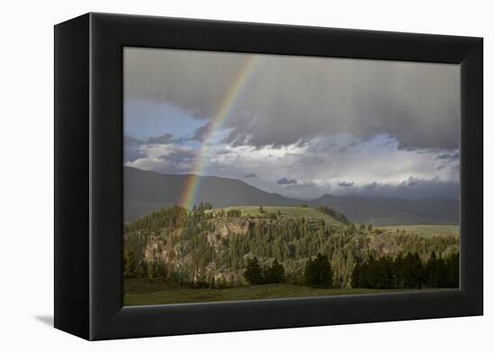 Rainbow, Yellowstone National Park, UNESCO World Heritage Site, Wyoming, USA, North America-James Hager-Framed Premier Image Canvas