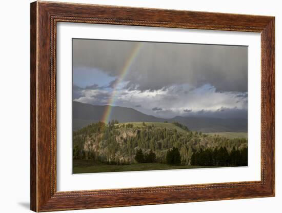 Rainbow, Yellowstone National Park, UNESCO World Heritage Site, Wyoming, USA, North America-James Hager-Framed Photographic Print