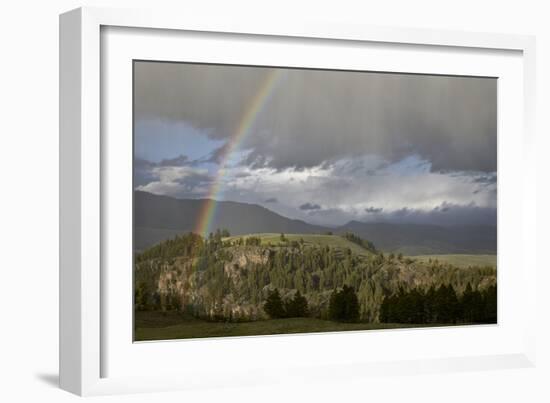 Rainbow, Yellowstone National Park, UNESCO World Heritage Site, Wyoming, USA, North America-James Hager-Framed Photographic Print