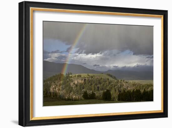 Rainbow, Yellowstone National Park, UNESCO World Heritage Site, Wyoming, USA, North America-James Hager-Framed Photographic Print