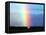 Rainbow-null-Framed Premier Image Canvas